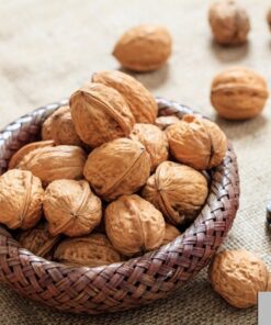 Akhroot Kagzi – Walnuts in Soft Shell 2 zaroorisaman Zaroori Saman Pakistan