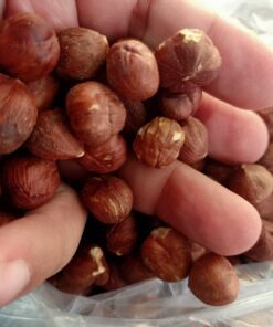 Hazelnuts Without Shell