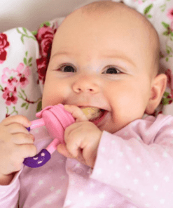 Baby Fruit Pacifier | Baby Food Feeder